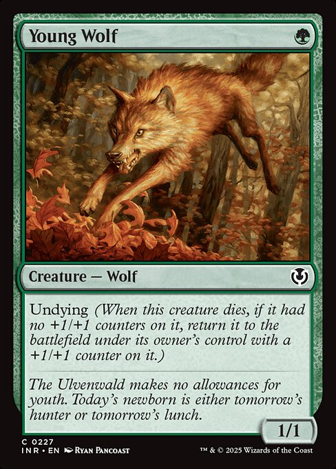 Innistrad Remastered - 227 - Young Wolf - Common