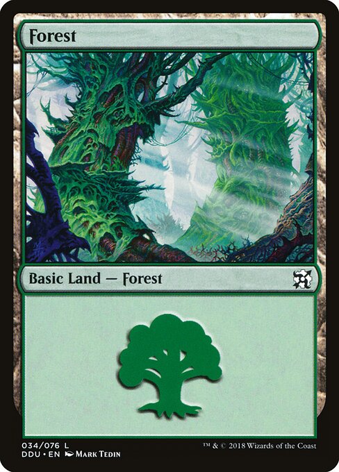 Duel Decks: Elves vs. Inventors - 34 - Forest - Common