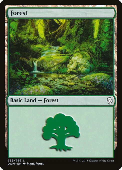 Dominaria - 269 - Forest - Common