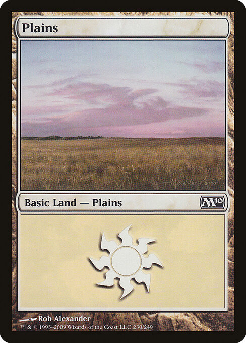 Magic 2010 - 230 - Plains - Common
