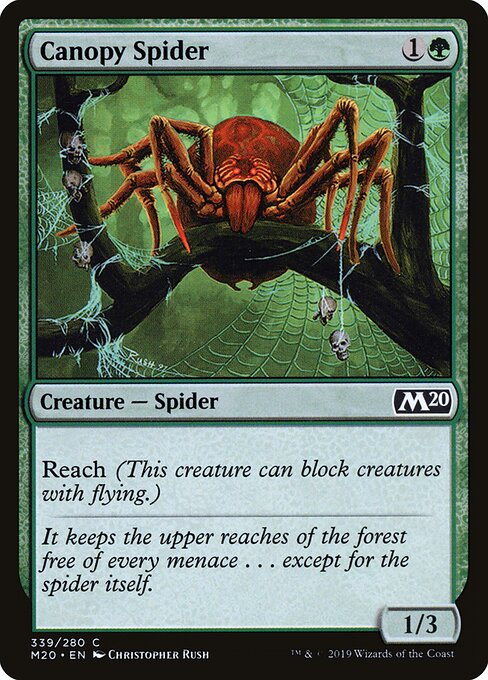 Core Set 2020 - 339 - Canopy Spider - Common