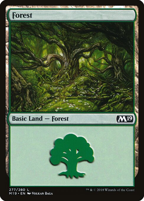 Core Set 2019 - 277 - Forest - Common