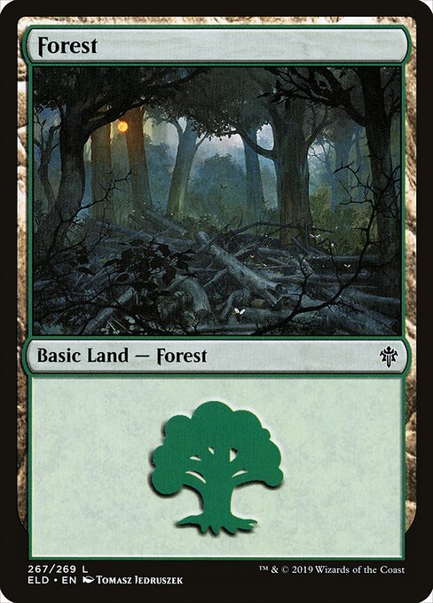 Throne of Eldraine - 267 - Forest - Common