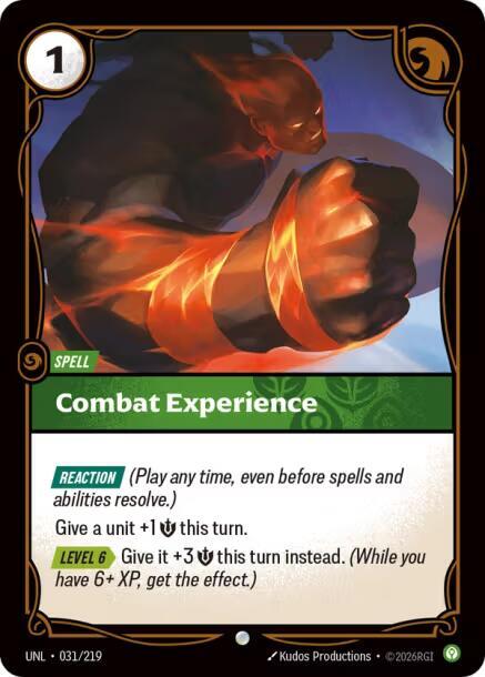Unleashed - 031/219 - Combat Experience - Common - Foil
